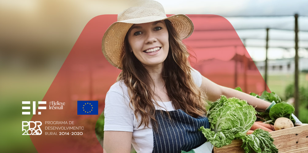 Caixa Investe Agro