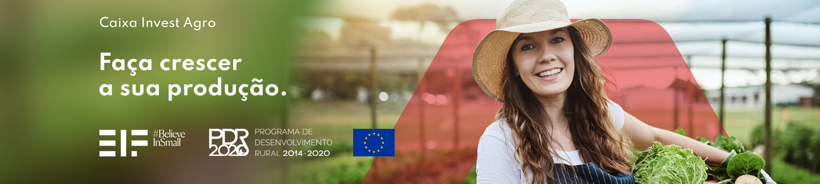 Caixa Investe Agro