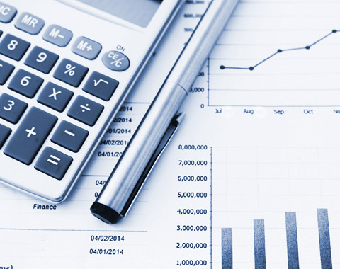 Investor Reports