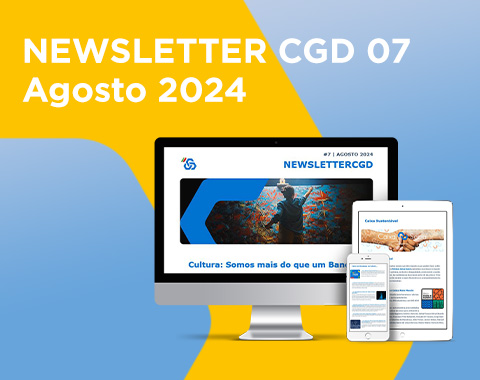 Newsletters Institucional