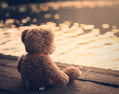 Campanha de angariaçã de brinquedos