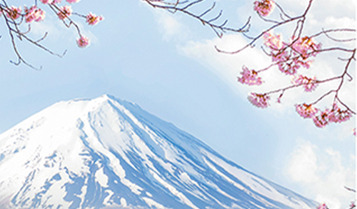 Parcerias Cartões de Crédito