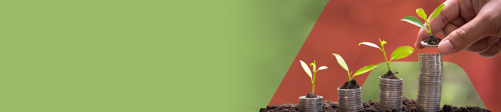 Estratégia de Sustentabilidade