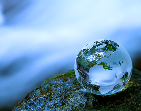Política de Integração de Riscos de Sustentabilidade