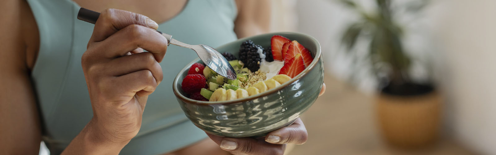 alimentação sustentável