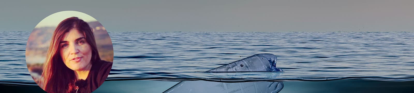 Plásticos no Oceano