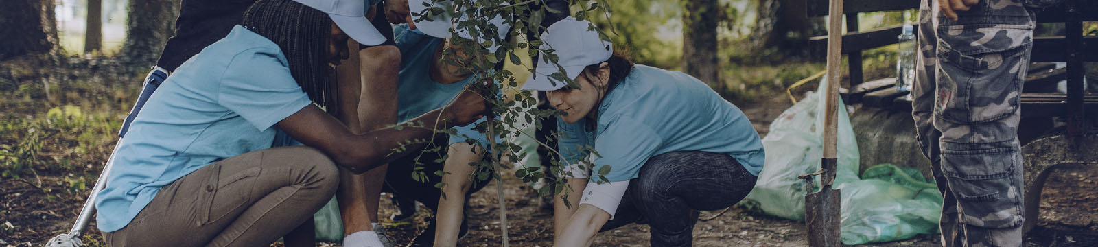  voluntariado 
