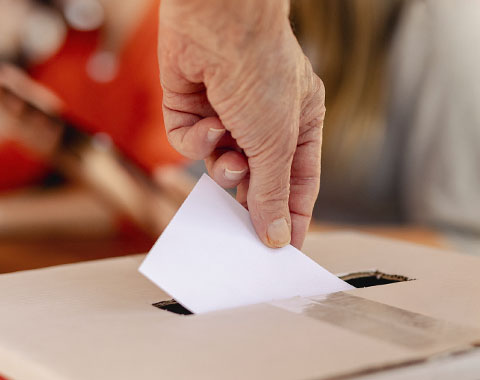 Como pode votar e onde?