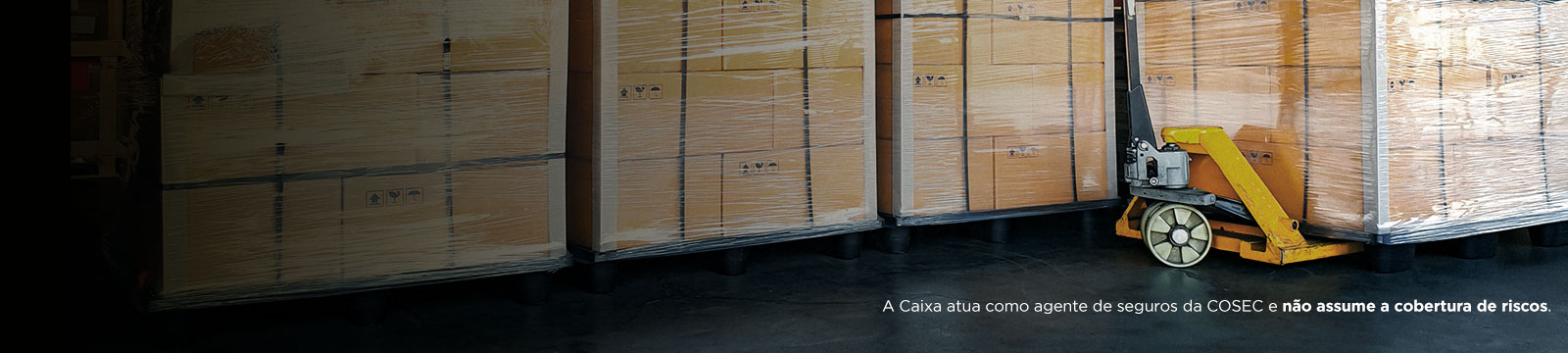 Seguros de Crédito COSEC