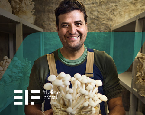 Caixa Invest EU Social Projeto