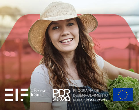 Caixa Invest Agro
