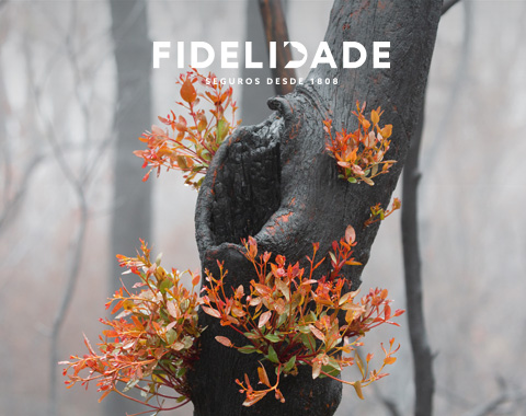 Seguro Agrícola Incêndio
