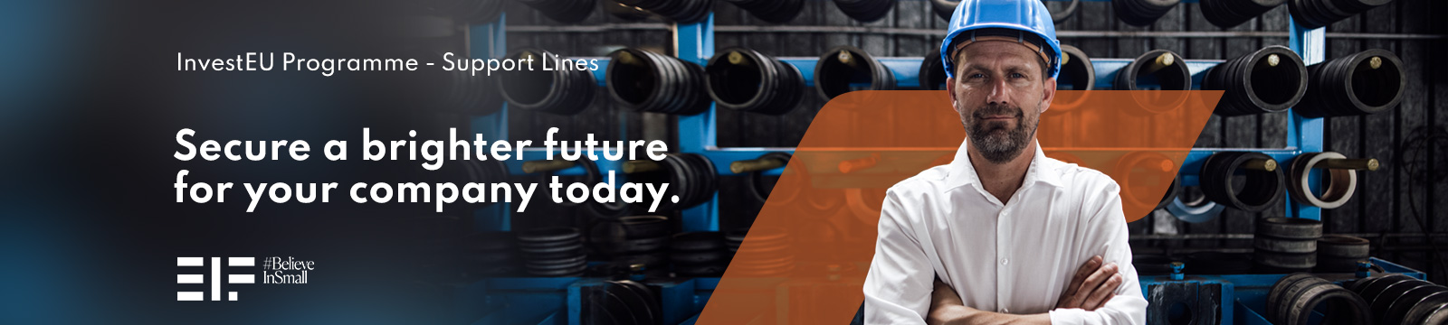 InvestEU Programme