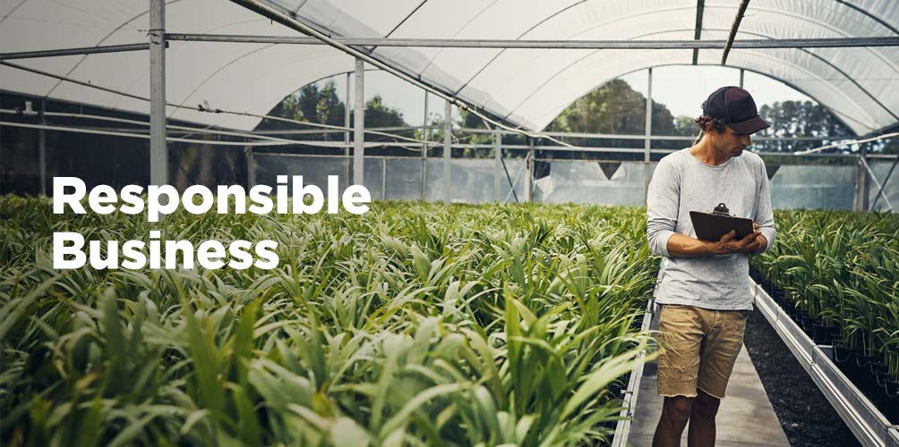 Negócio Responsável