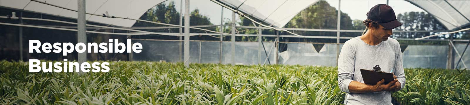 Negócio Responsável