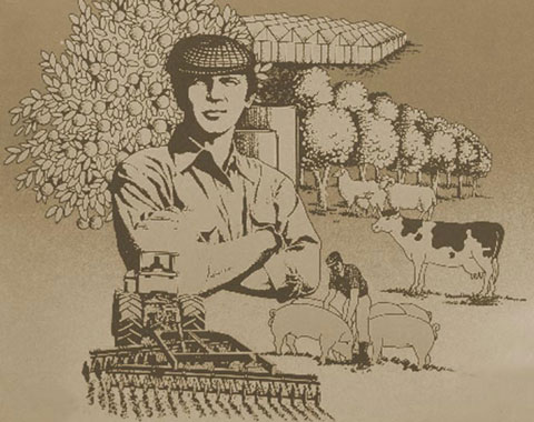Concurso Jovem Agricultor