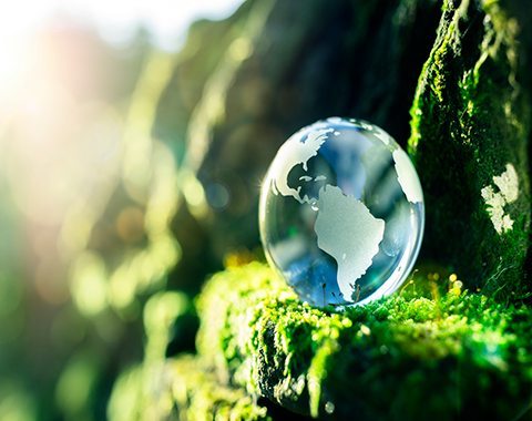 Relevância do Investimento ESG