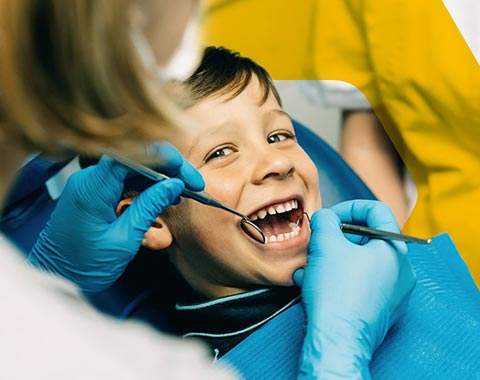  Seguro de Saúde Activcare Dental