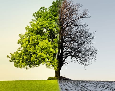 Quando e o que significam?