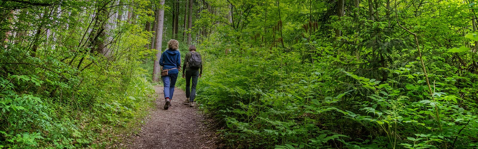 ameaças à sustentabilidade ambiental