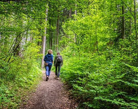 Ambiente e Natureza estão em risco