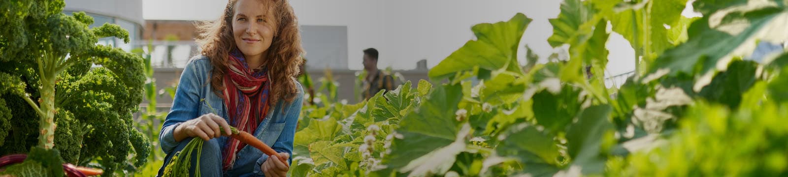 Hortas comunitárias