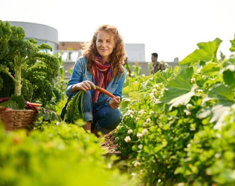 Como aderir a esta iniciativa?
