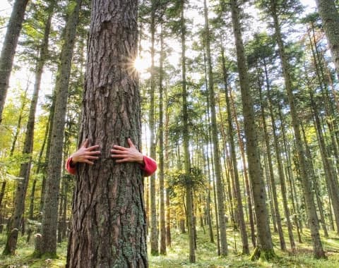 Sabe o que implica na sua vida?