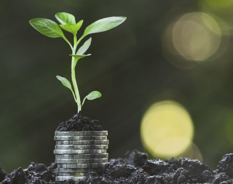 O que paga pelo Ambiente?