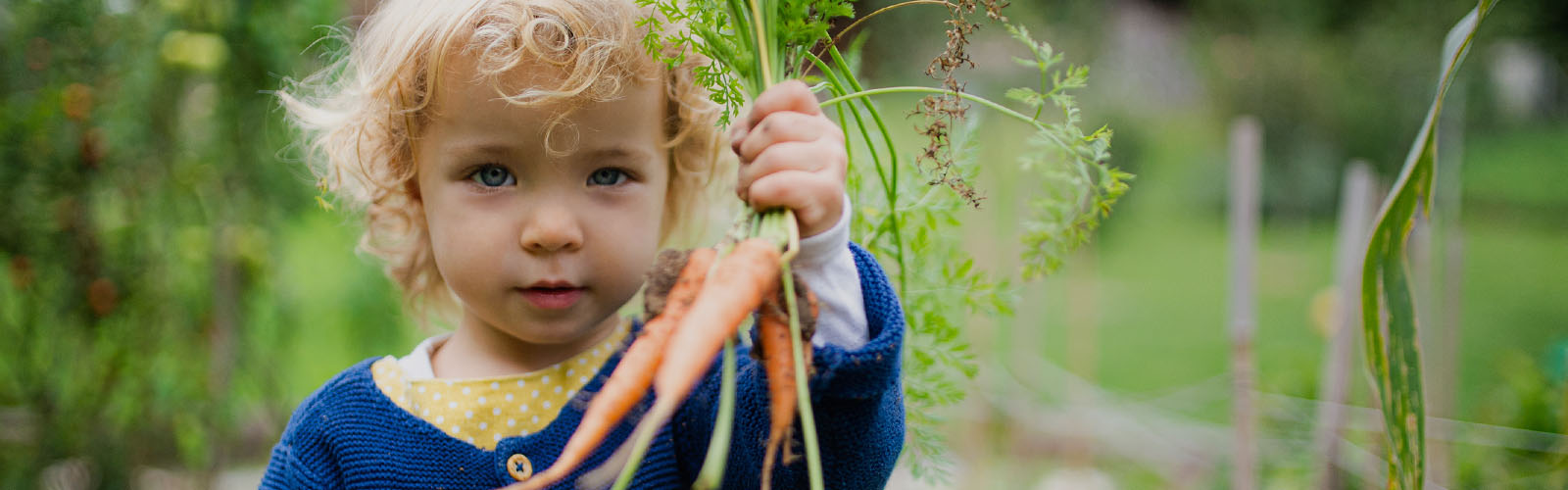 Agricultura sustentável
