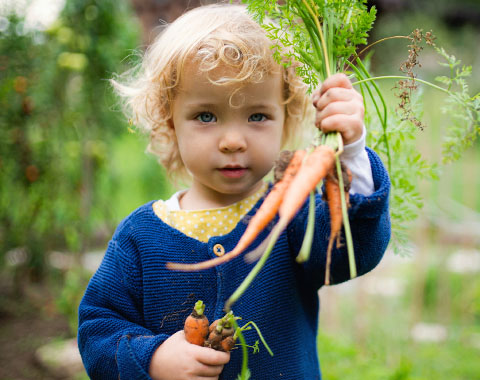 De que se trata e efeitos práticos