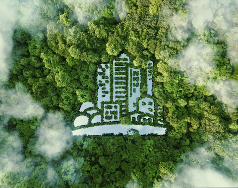 Sabe se cumprem regras ambientais?