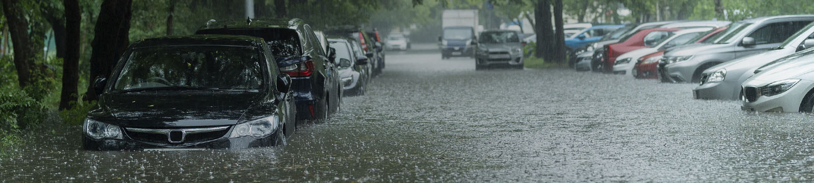 Proteção contra fenómenos naturais