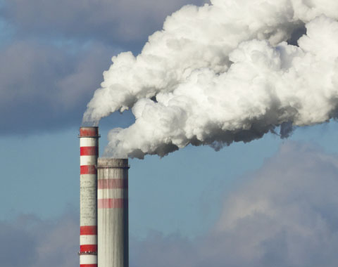 Como fazer o seu papel para as reduzir?