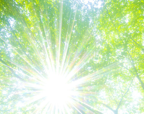 Os cuidados para este Verão