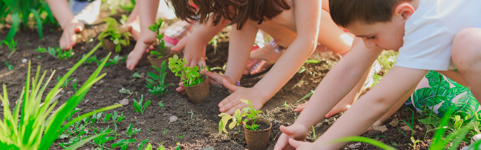 Sensibilizar crianças para defender o ambienteo ambintes