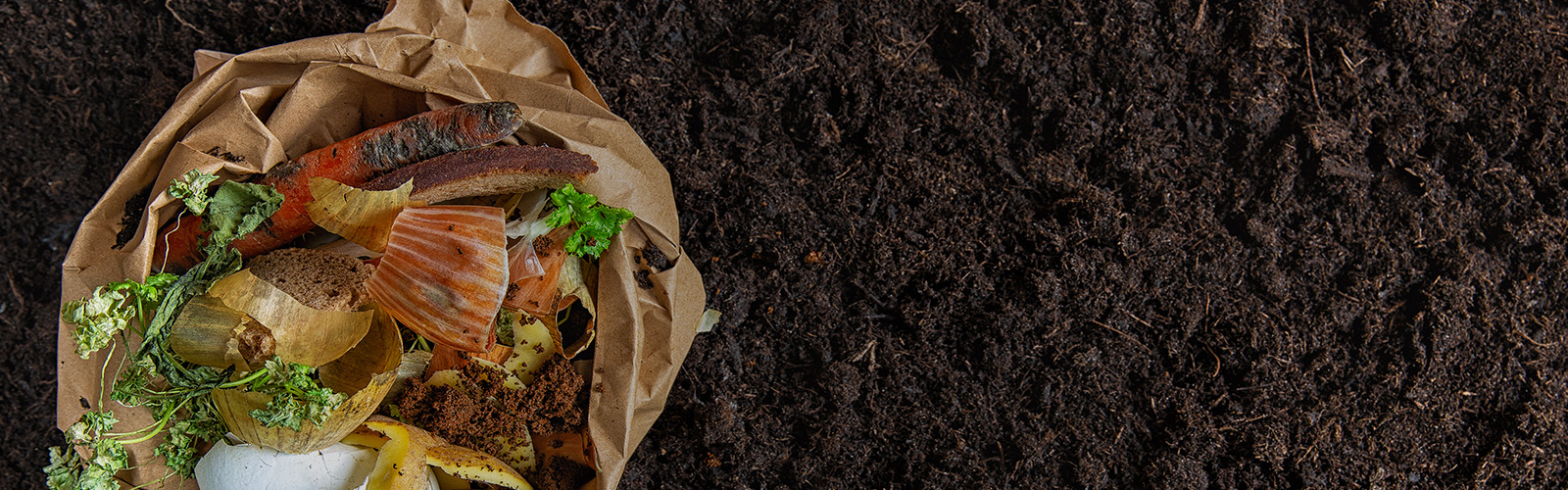 Compostagem doméstica