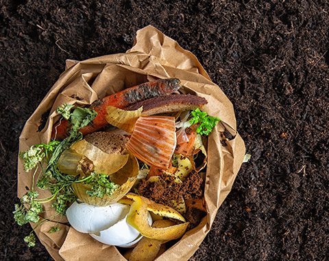 Fazer compostagem em vez de reciclar?