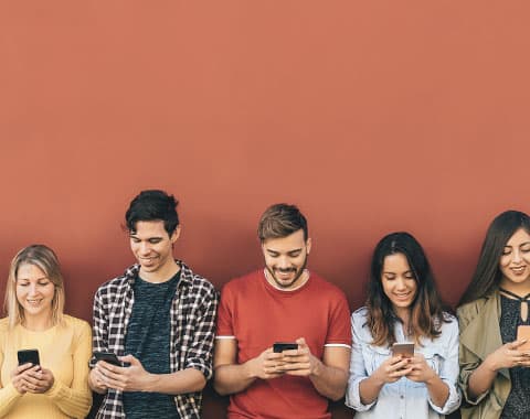 Estão identificados os vencedores