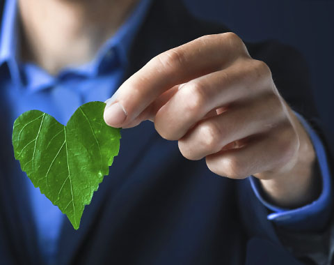 Sabe do que se trata e como identificá-lo?