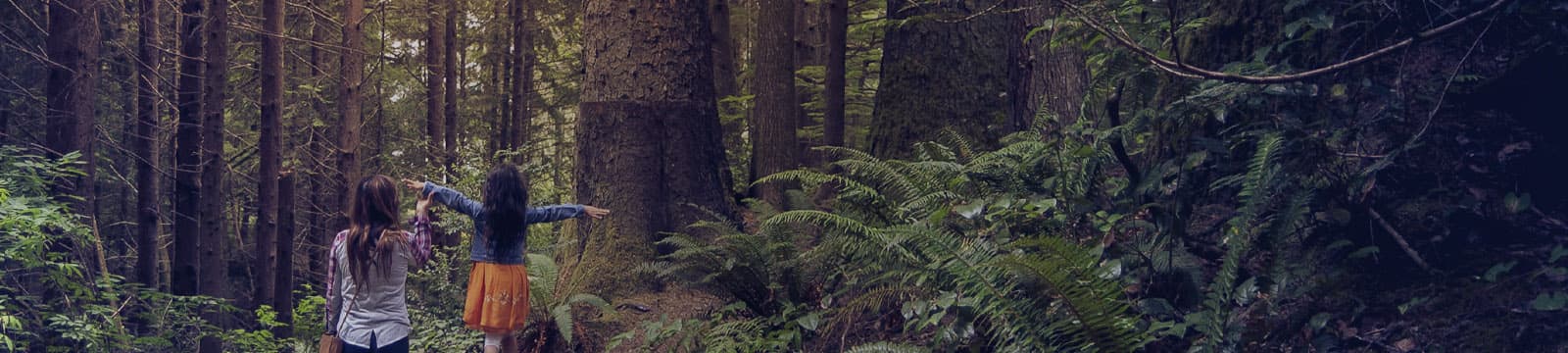 indicadores ambientais