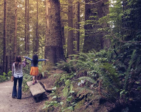 Quais os que Portugal deve cumprir?