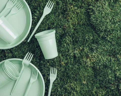 Estamos a caminho da sua extinção?