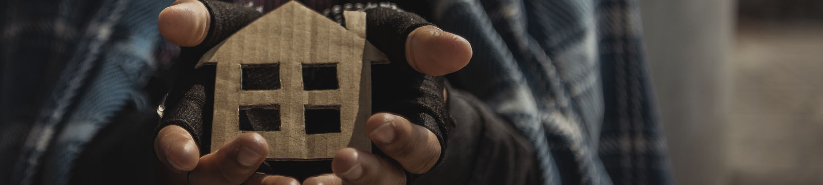 Programa 1º Direito