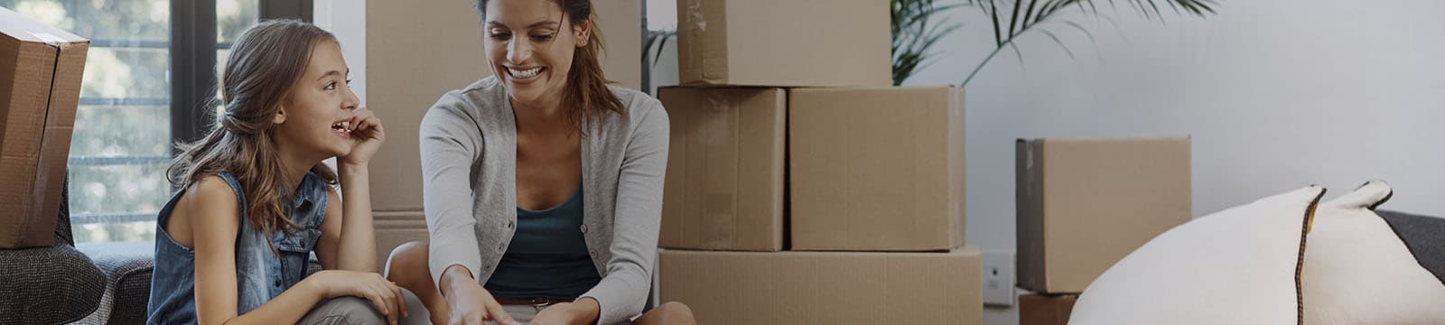 apoios ao arrendamento