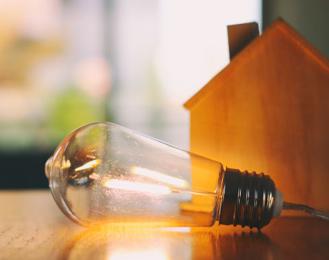 Tudo o que precisa de saber