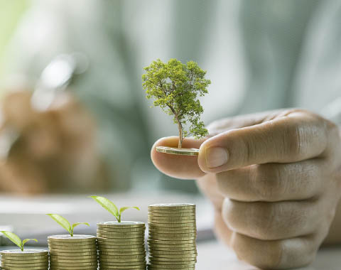 As 5 decisões financeiras