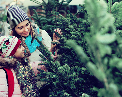 Como poupar nos gastos de Natal?