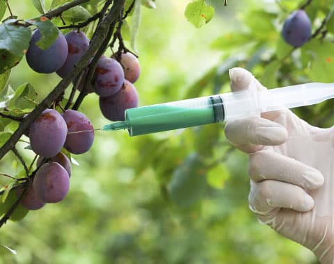 Sabe como identificar os aditivos?