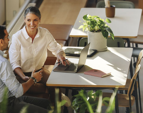 Descubra aqui as diferenças